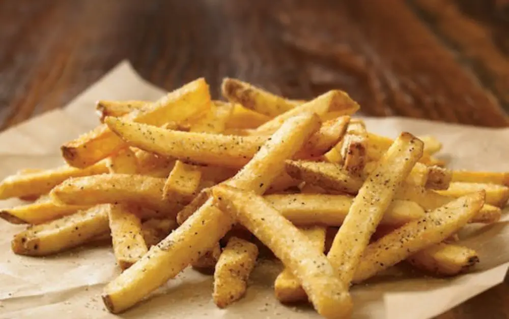 outback kids fries